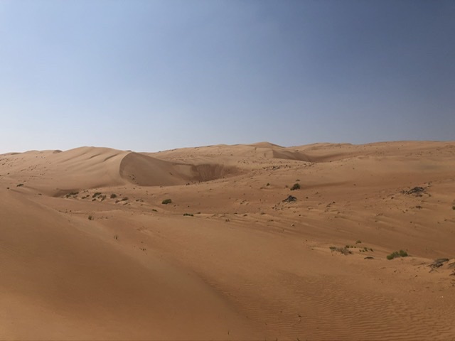 View of desert